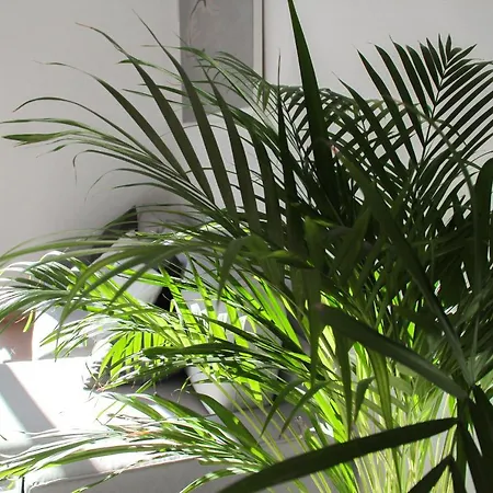 Atelier 3 - Boutique * Loulé